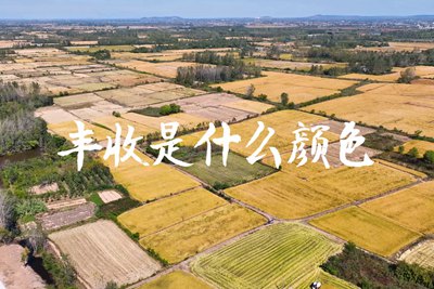 春種一粒粟，秋收萬顆子。多彩的豐收季，只愿五谷豐登，百事興旺3.240_400.jpg
