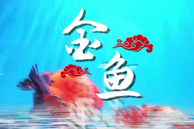 金魚歡躍，流光溢彩！_400.jpg
